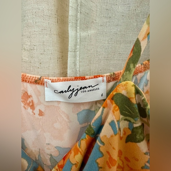 Carly Jean Los Angeles Caroline Dress in Hanalei floral - Picture 5 of 6